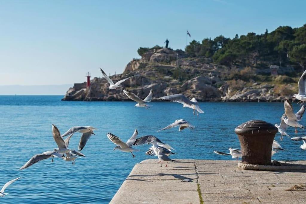 The View Luxury 2+2 In A Strict Center Apartment Makarska